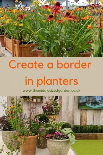 borders in pots and planters