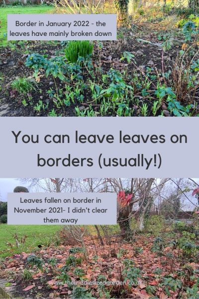 Leave leaves on borders