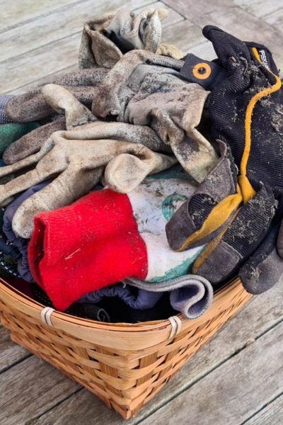 Shed tidy tips - sort out your gardening gloves once a year