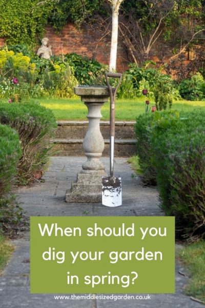 When should you dig your garden in spring?
