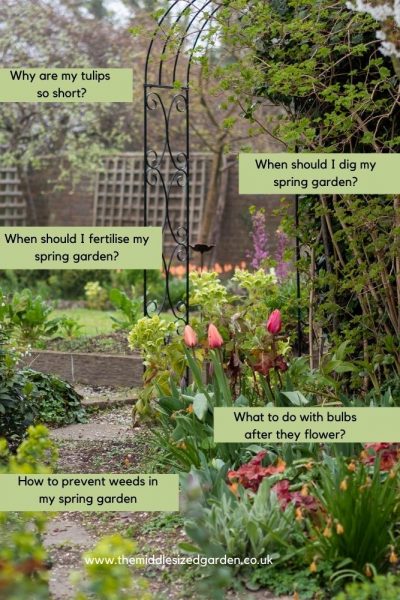 Answers to common spring gardening questions