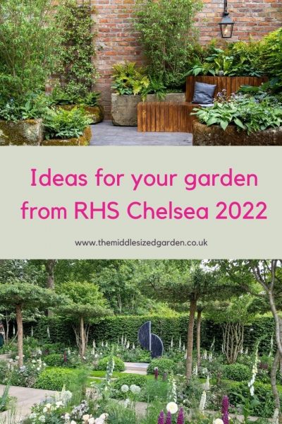 Ideas for your garden from the RHS Chelsea flower show 2022