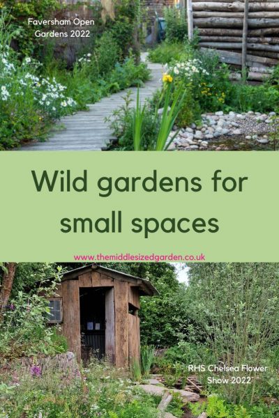 Wild gardens for small spaces