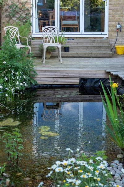 Fill your pond with rainwater