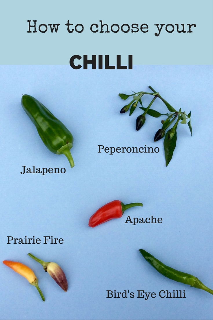 Use different chillies for different dishes.