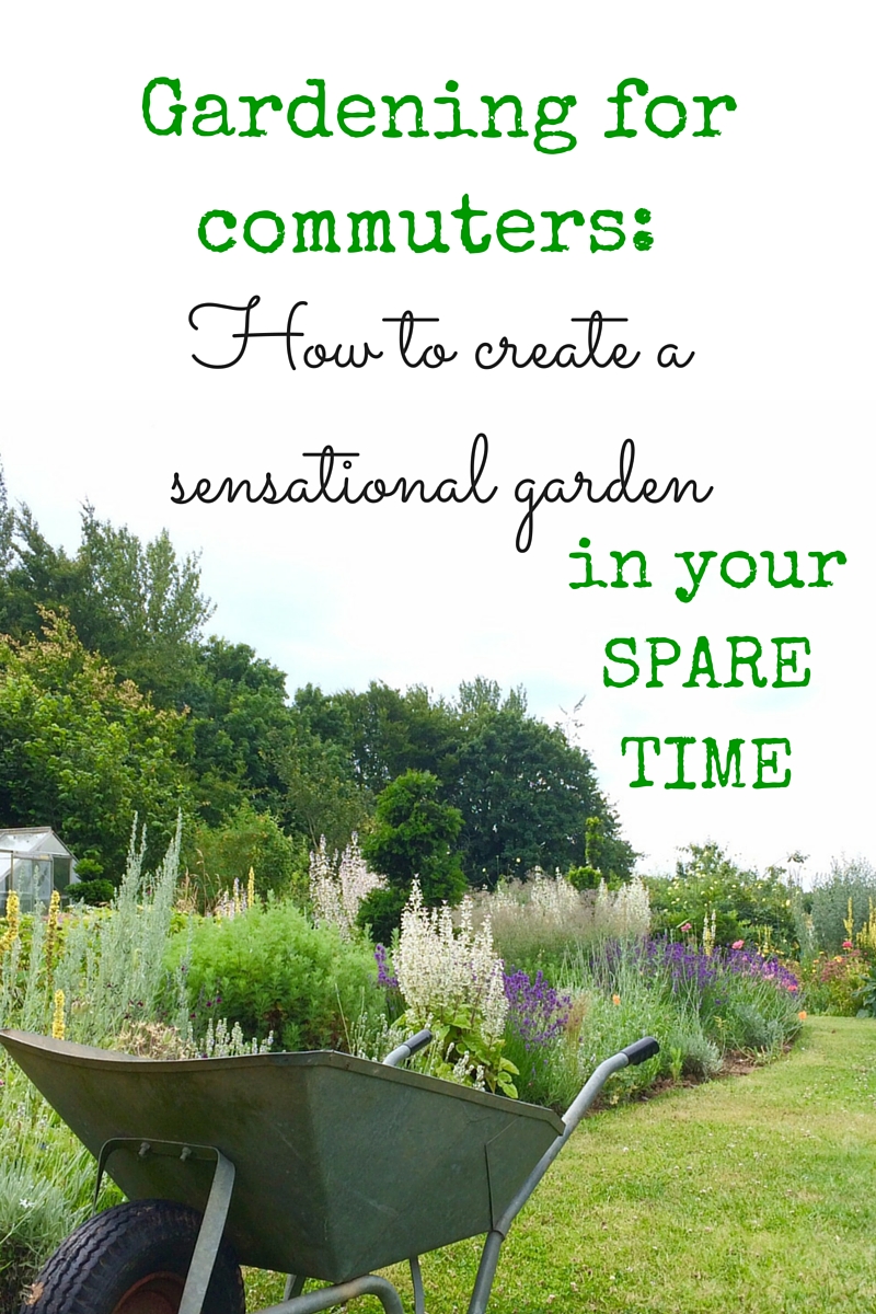 Tips for confident, successful gardening