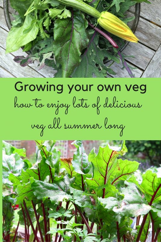 How to have the best harvests of allotment and grow-your-own veg