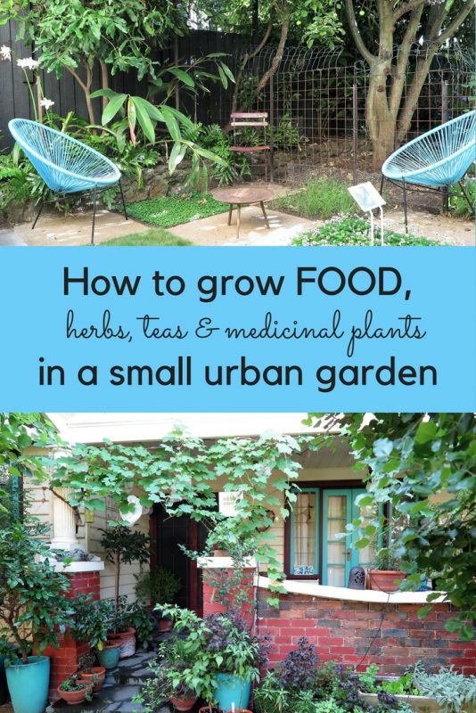 How to grow food in a small urban garden