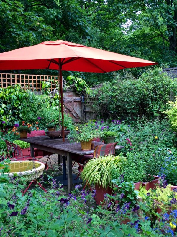 A romantic London cottage garden