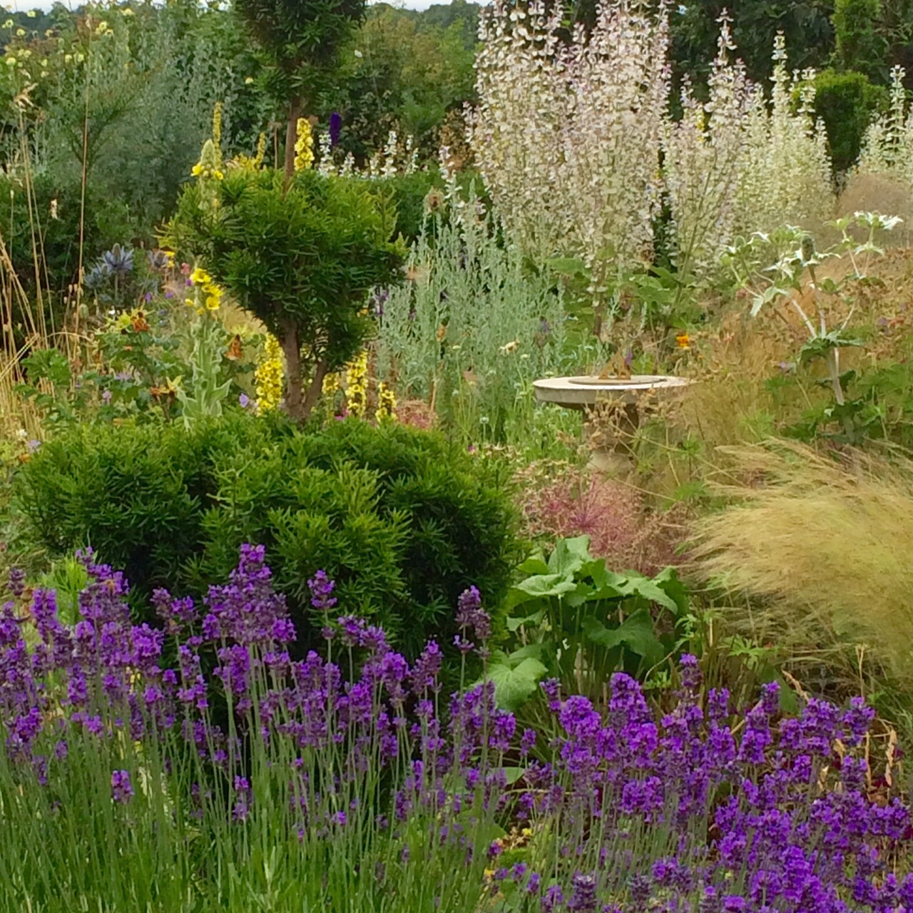 How to create a perfect country garden