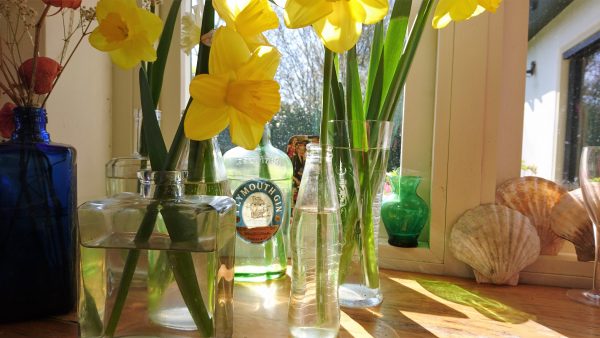Recycle glass bottles as vases