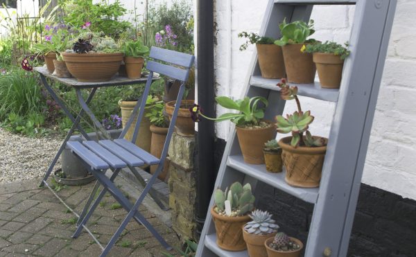 Upcycled ladder display for pots