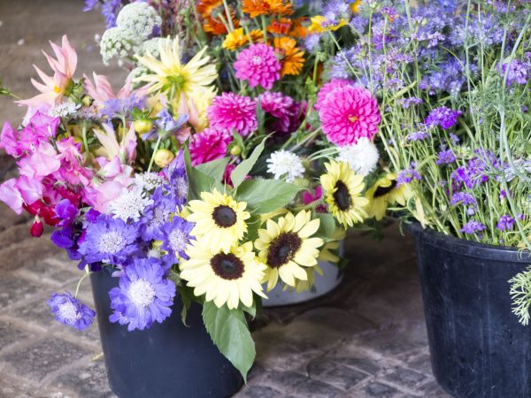 Buy flowers from local growers