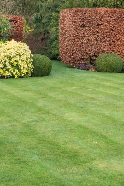 Use easy topiary shapes as punctuation points
