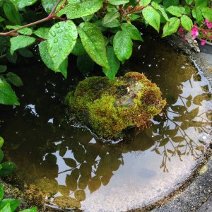 Water feature insurance