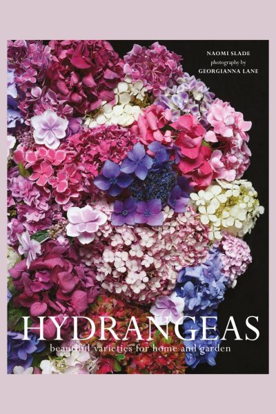 Hydrangeas by Naomi Slade