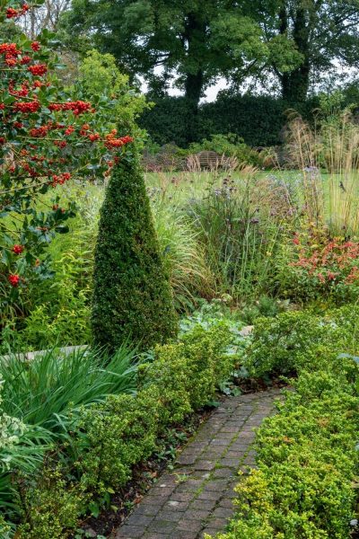 Cone box topiary and ilex crenata hedge