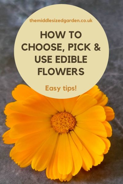 How to choose edible flowers