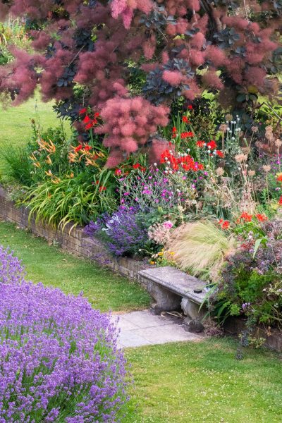 Plants that spread in an English garden
