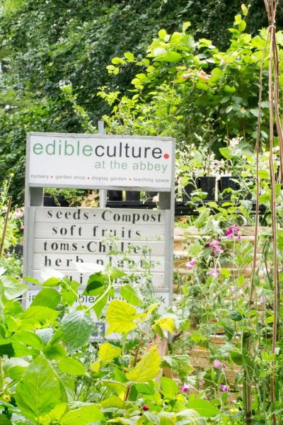 Plants online from Edible Culture Faversham