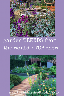 garden trends