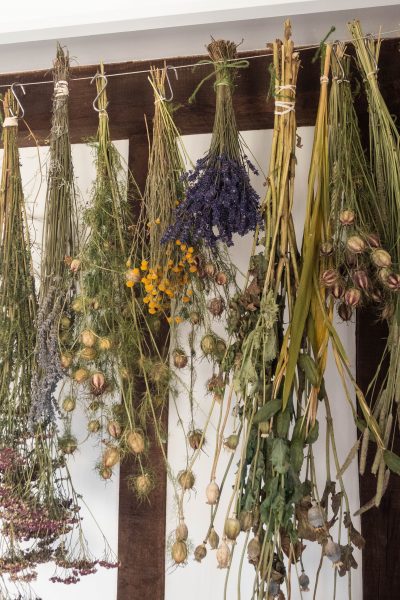 Drying flowers upside down