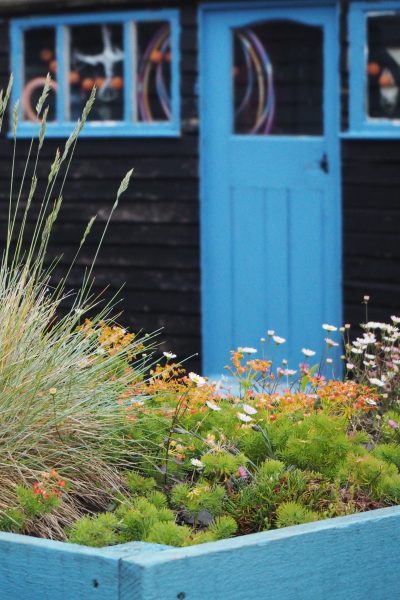 Open gardens in historic Whitstable in May
