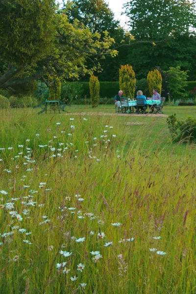 Easy tips for a wildflower meadow in your small garden #gardentips #wildflowers