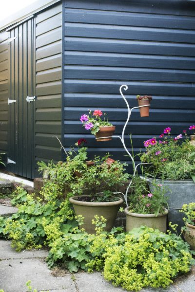 Paint your shed dark as a background