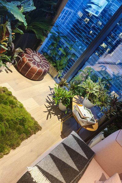 How To Decorate With Indoor Plants Latest Trends The Middle Sized Garden Gardening Blog - Houseplant Decorating Ideas