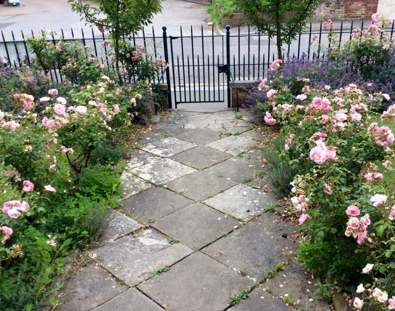 Pink themed front garden