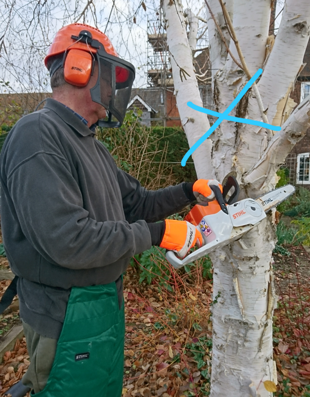 How not to cut branches with a chainsaw