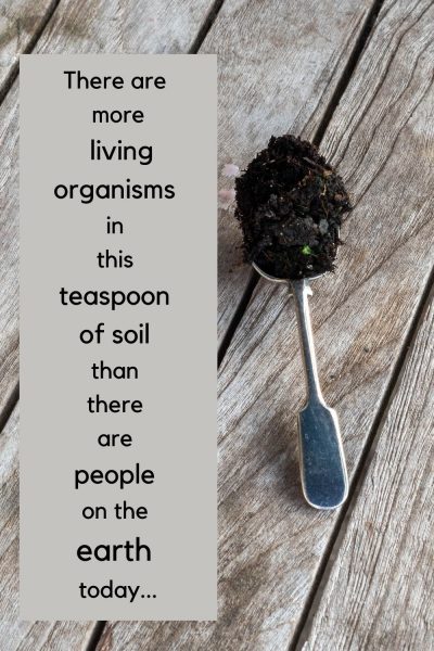 The importance of soil