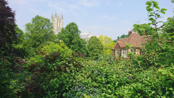 Canterbury Cathedral open gardens