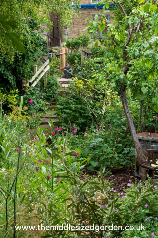 North facing garden tips how to make the most of your space The